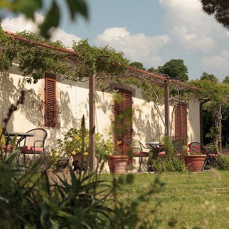 סטורניה Agriturismo Bio Aia Della Colonna מראה חיצוני תמונה